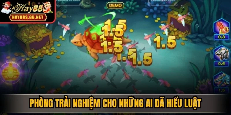 Phòng trải nghiệm cho những ai đã hiểu luật 