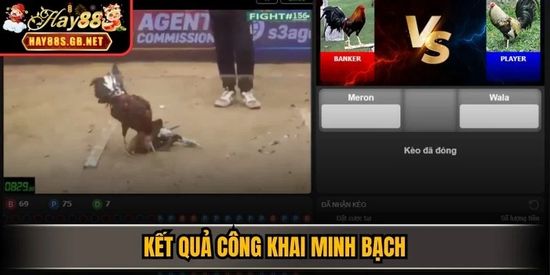 Kết quả công khai minh bạch