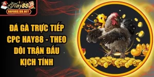 đá gà trực tiếp CPC