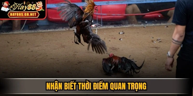 Nhận biết thời điểm quan trọng