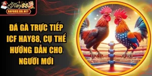 đá gà trực tiếp ICF