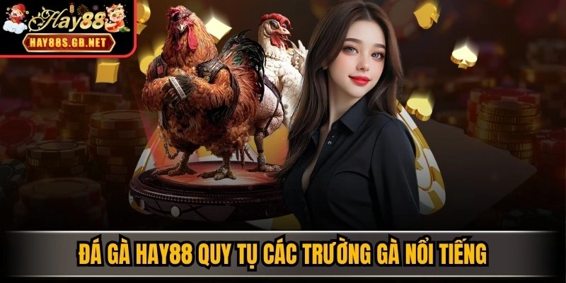 Đá Gà HAY88 quy tụ các trường gà nổi tiếng