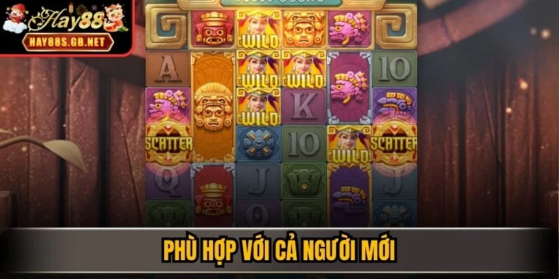 Phù hợp với cả người mới