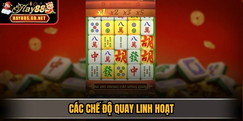 Các chế độ quay linh hoạt