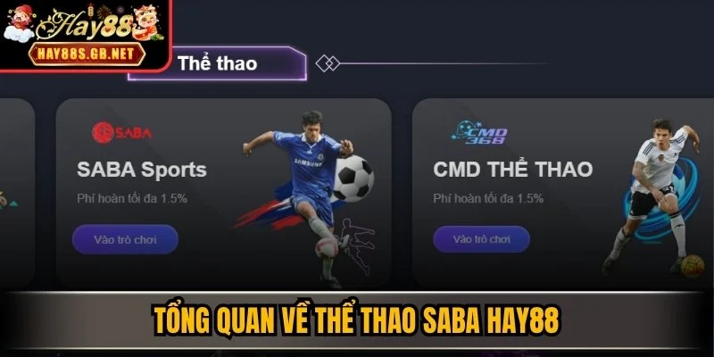 Tổng quan về Thể thao Saba HAY88