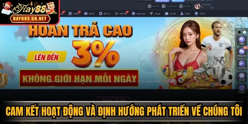 Cam kết hoạt động và định hướng phát triển về chúng tôi